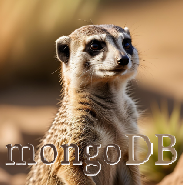 MongoDB